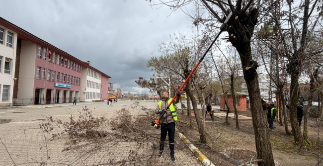 Ağaçlar Budanıyor, Okul Bahçeleri Güvenli Hale Geliyor