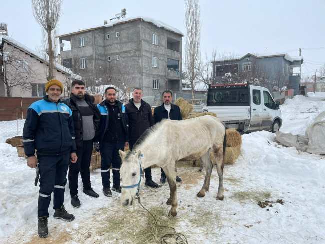 Sokağa Terkedilen Hayvanlara Sahip Çıkan Besiciye Yem Desteği