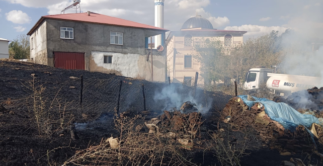 Alevler Evleri Tehdit Etti, İtfaiye Ekipleri Yangını Söndürdü