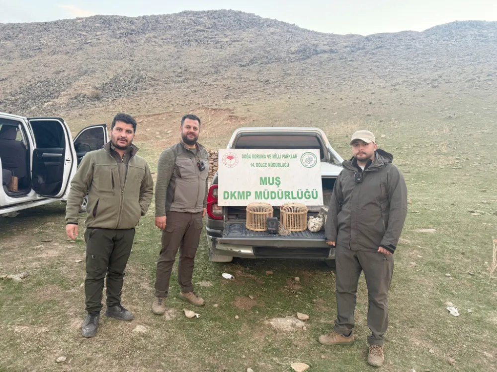 Muş’ta Suçüstü Yakalandı, 20 Bin TL Cezaya Çarptırıldı 