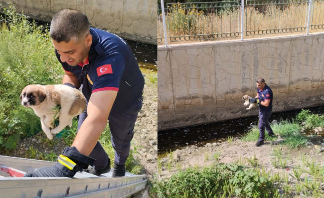 Muş’ta Çar Çayı’na Düşen Yavru Köpek İtfaiye Ekiplerince Kurtarıldı