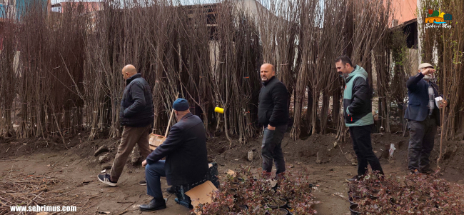 Muş’ta Tek Fiyatlı Fidanlara Yoğun Talep