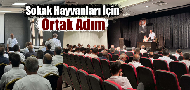 Sokak Hayvanları İçin Ortak Adım: Muhtarlarla İş Birliği Toplantısı Yapıldı