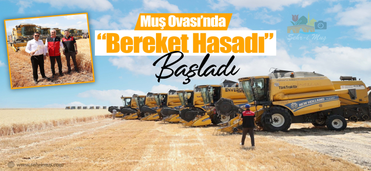 Muş Ovası`nda “Bereket Hasadı” Başladı