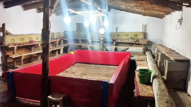 Muş’ta horoz dövüşüne baskın: 23 kişiye ceza