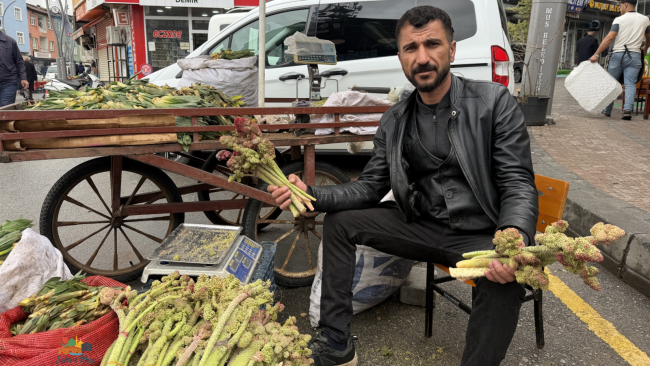 Muş’ta yayla muzu tezgahlarda: fiyatı dikkat çekti