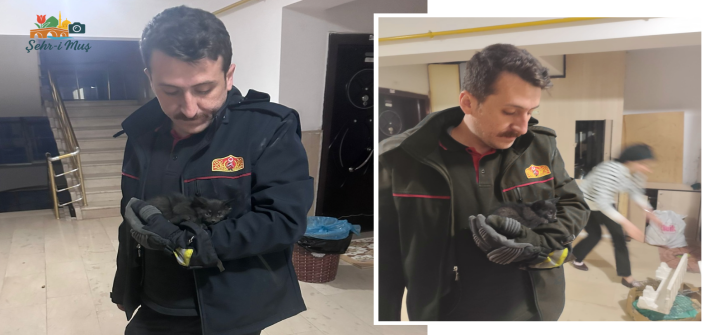Asansör Boşluğunda Mahsur Kalan Kedi İtfaiye Tarafından Kurtarıldı