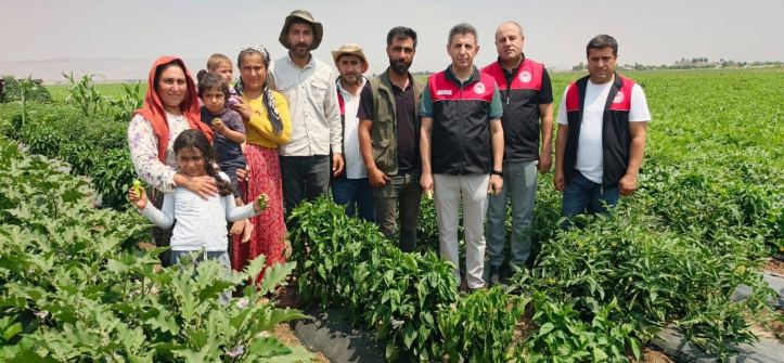 Muş’ta Karpuz ve Kavun Hasadı Öncesi Tarla İncelemesi Yapıldı