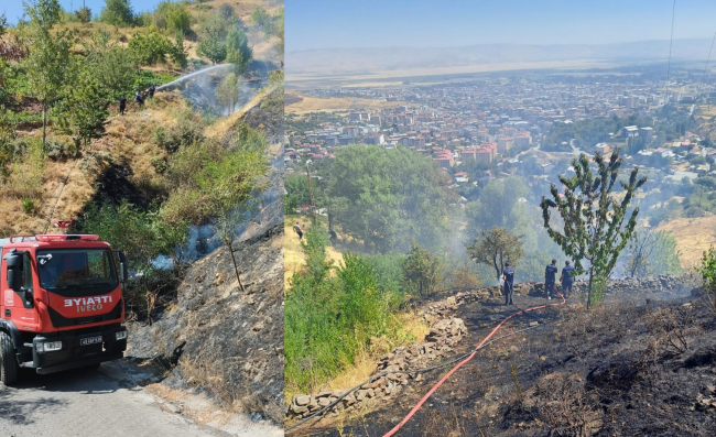 Muş’ta Anız Yangını Korkuttu