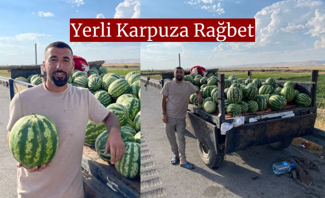 Hasköy’de Yaz Bereketi: Karpuz Kilosu 7 Lira