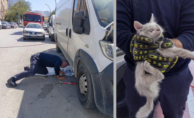 Kedi Sesini Vatandaşlar Duydu, İtfaiye Yetişti