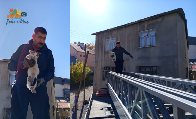 Duyarlı Vatandaşların İhbarı Kediyi Kurtardı