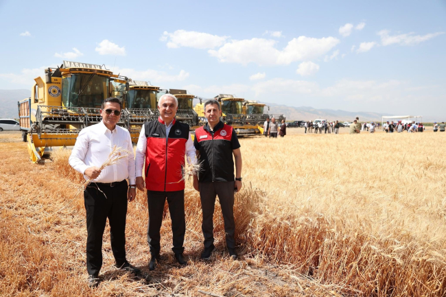Muş Ovası`nda “Bereket Hasadı” Başladı
