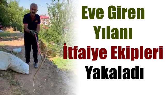 Muş`ta Eve Giren Yılanı İtfaiye Ekipleri Yakaladı