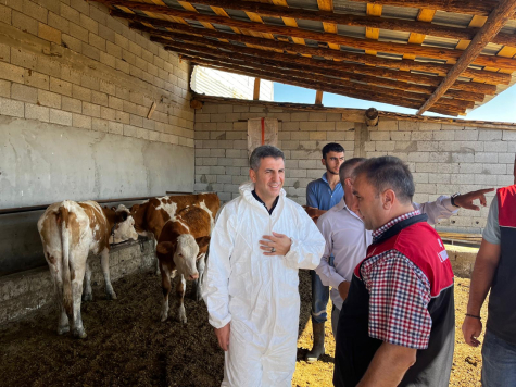 Muş’ta Hayvan Sağlığı İçin Aşılama Çalışmaları Sürüyor