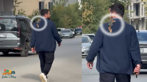 Muş sokaklarında sıra dışı görüntü!