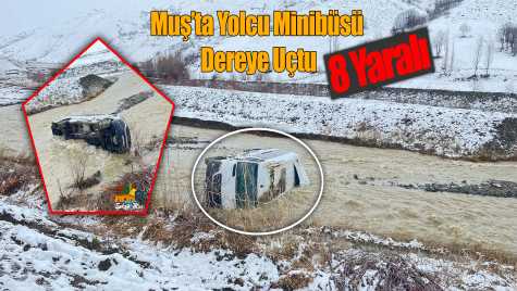 Muş’ta Yolcu Minibüsü Dereye Uçtu: 8 Yaralı